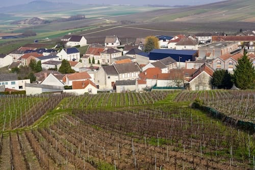 Private Champagne tour from Paris