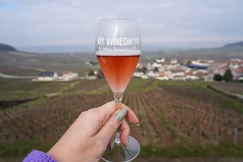 Small group Champagne tour from Paris