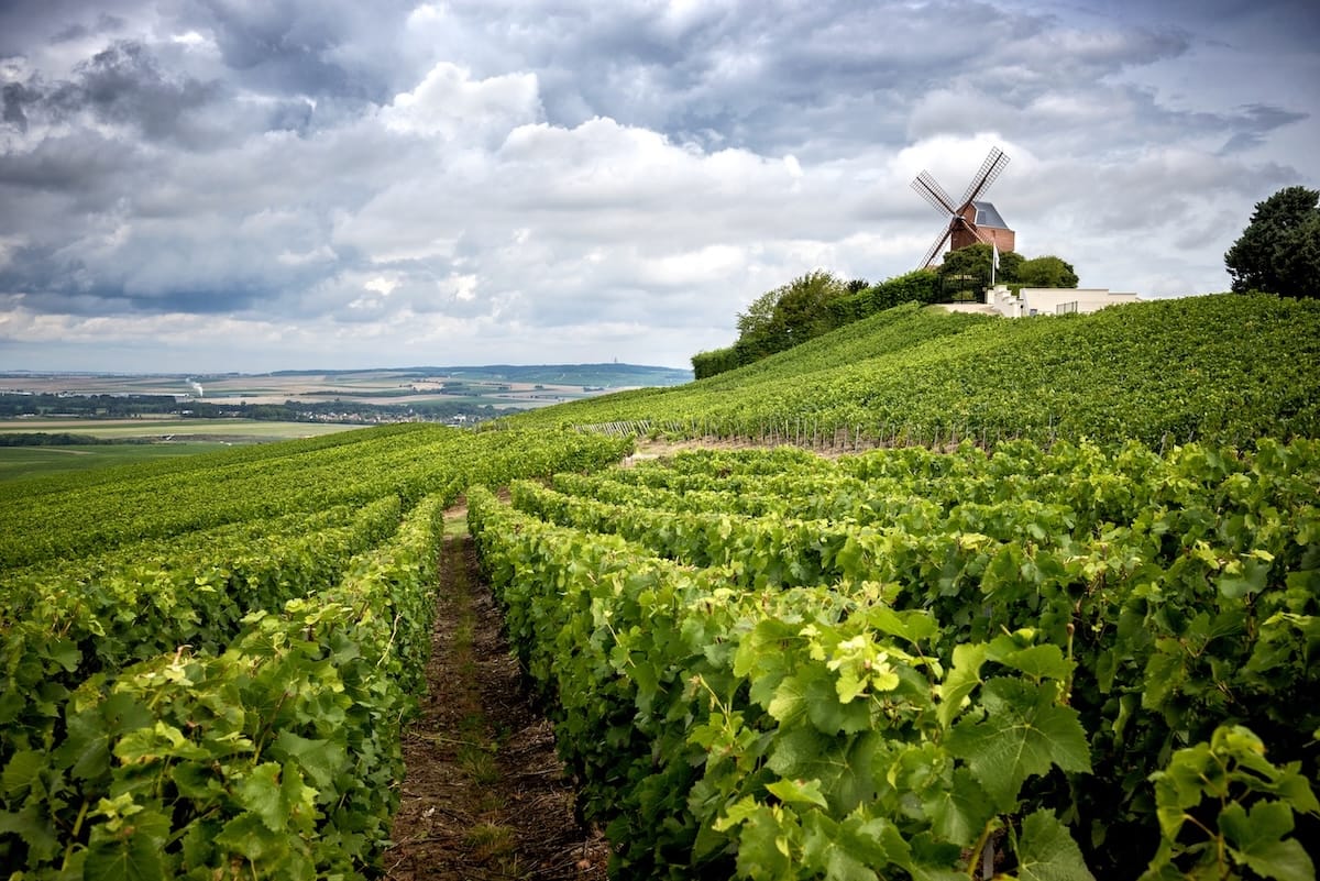 Prestige Champagne tours are a great luxury option!